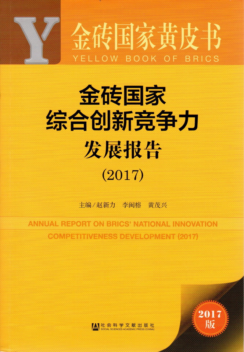 男生操男生视频免费观看金砖国家综合创新竞争力发展报告（2017）